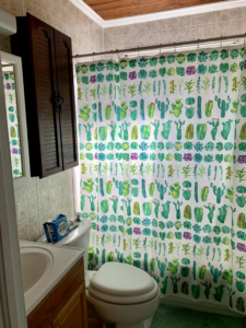 A bathroom with a cactus shower curtain, toilet, sink, mirror and cabinet.